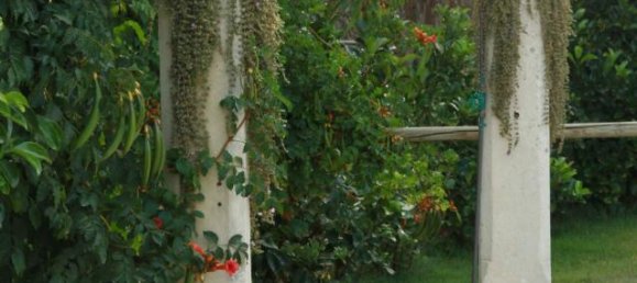 8-salle Villa à Lecce, Italy No. 121660 19