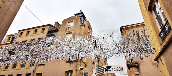 Propriété commerciale à Metz, France 340m² No. 213975 3