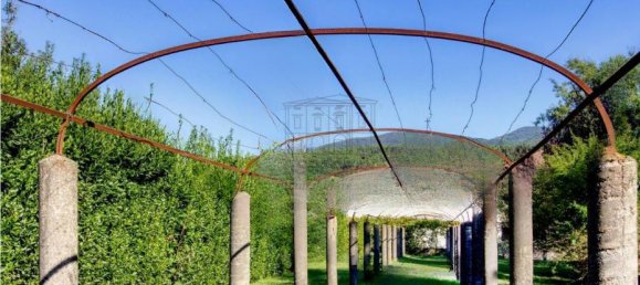 18غرفة فيلا في Lucca, Italy رقم 169379 4