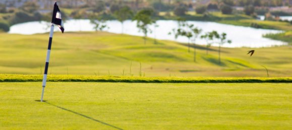 3 bedrooms Villa in Monforte del Cid, Spain No. 2661 22