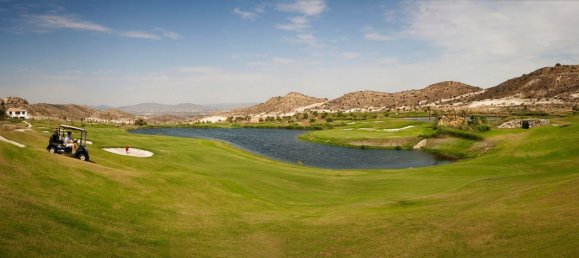 3 bedrooms Villa in Monforte del Cid, Spain No. 2661 14