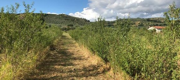 Terreno em Squillace, Italy 29000 m² N.º 265102 6