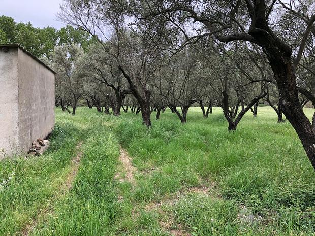 Terreno em Squillace, Italy 29000 m² N.º 265102