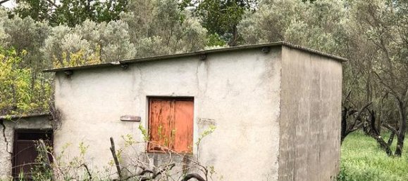 Terreno em Squillace, Italy 29000 m² N.º 265102 3