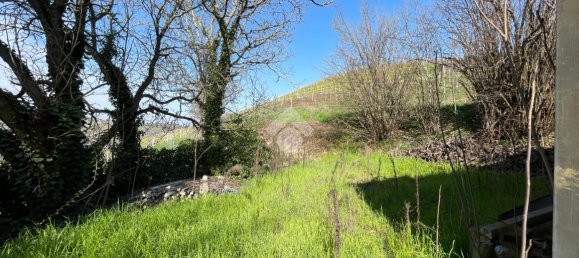 6 rooms House in Canelli, Italy No. 12875 29