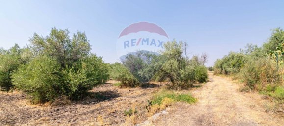 Casa T1 em Belpasso, Italy N.º 322330 23