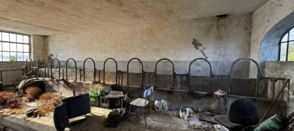 Дом с 9 комнатами в Мазио, Италия № 111659 30