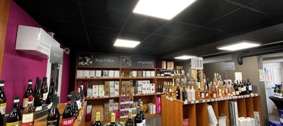 214m² Commercial property in Narbonne, France No. 311760 3