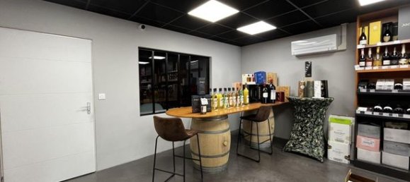 214m² Commercial property in Narbonne, France No. 311760 9