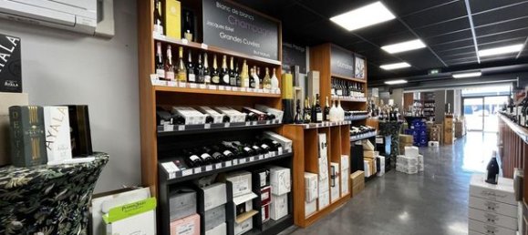 214m² Commercial property in Narbonne, France No. 311760 2