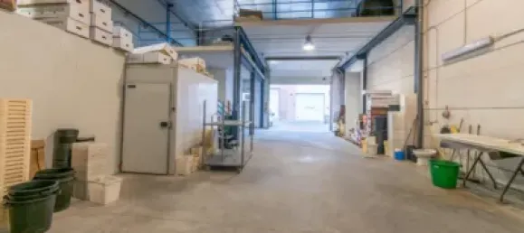 Lagerhaus in Peligros, Spain 451m², Nr. 181240 22