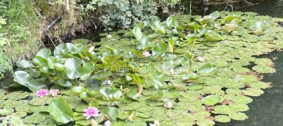 Land in Lahn-Dill, Germany No. 148552 20