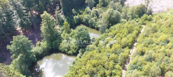 Land in Lahn-Dill, Germany No. 148552 13