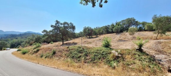 2776m² Hotel in Corfu, Greece No. 1972 16