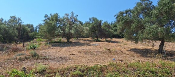 2776m² Hotel in Corfu, Greece No. 1972 11