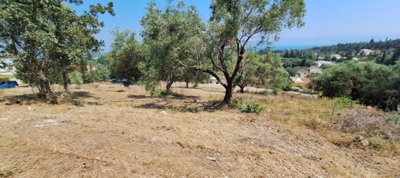 2776m² Hotel in Corfu, Greece No. 1972 8