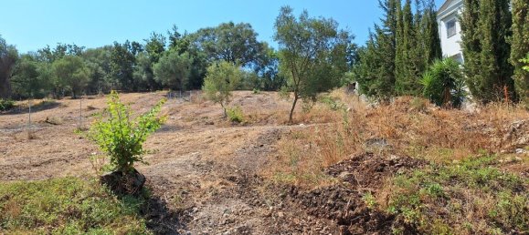 2776m² Hotel in Corfu, Greece No. 1972 10