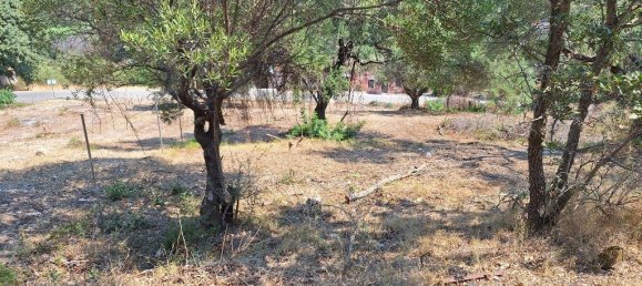 2776m² Hotel in Corfu, Greece No. 1972 6