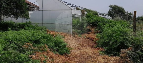 Дом с 3 спальнями в Гондомар, Португалия № 19072 11