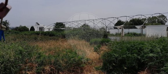 Дом с 3 спальнями в Гондомар, Португалия № 19072 13