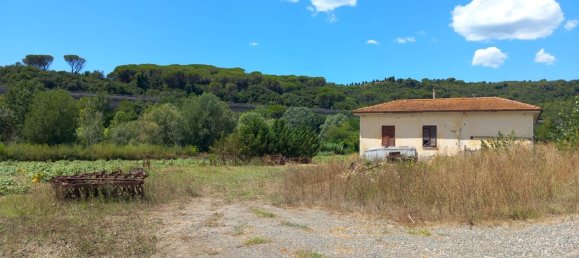 7-Zimmer Haus in Castellina Marittima, Italy, Nr. 270370 5