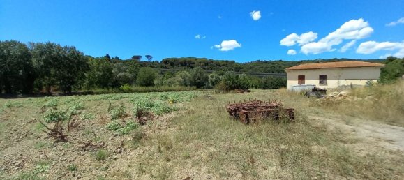 7-Zimmer Haus in Castellina Marittima, Italy, Nr. 270370 12