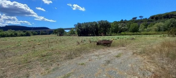 7-Zimmer Haus in Castellina Marittima, Italy, Nr. 270370 9