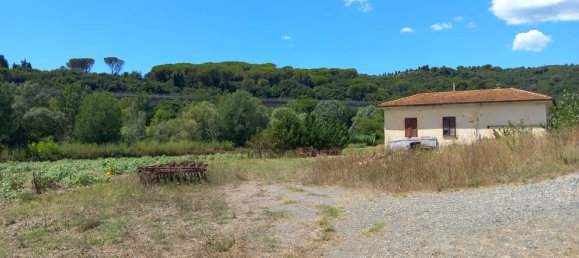 7-Zimmer Haus in Castellina Marittima, Italy, Nr. 270370 4