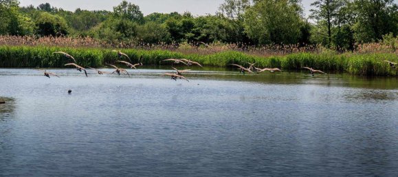 Дом с 3 спальнями в Крукхам-Виллидж, Великобритания № 3345 10