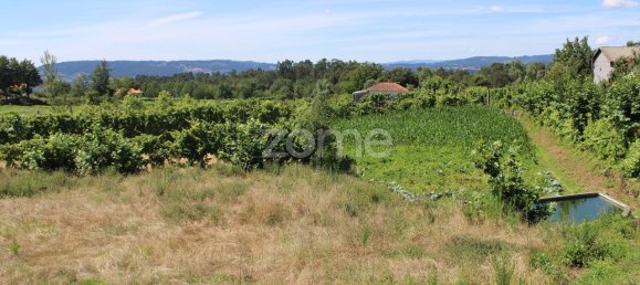 Terreno em Quinchães, Portugal 2105 m² N.º 32910 2