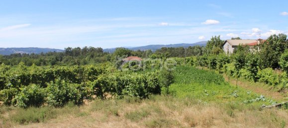 Terreno em Quinchães, Portugal 2105 m² N.º 32910 12