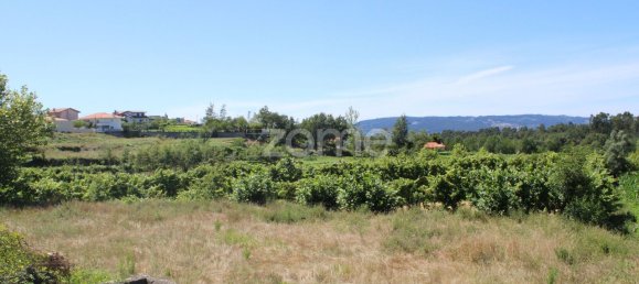 Terreno em Quinchães, Portugal 2105 m² N.º 32910 4