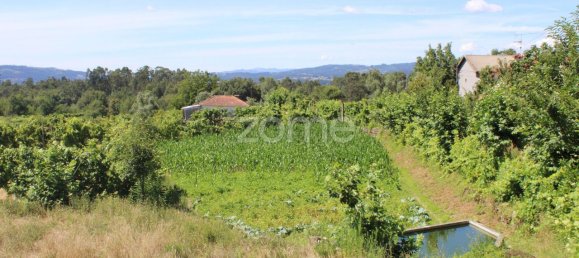 Terreno em Quinchães, Portugal 2105 m² N.º 32910 3