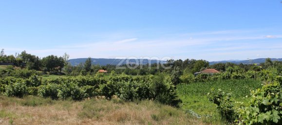 Terreno em Quinchães, Portugal 2105 m² N.º 32910 5