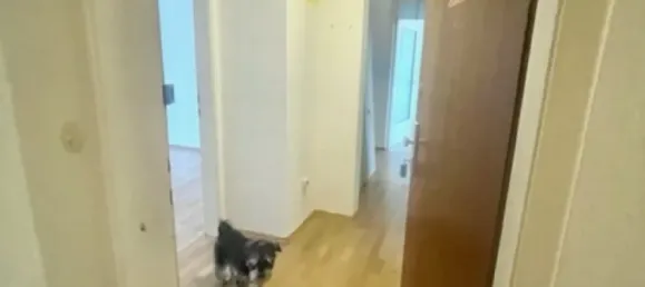 3غرفة شقة في Meidling, Austria رقم 117163 31