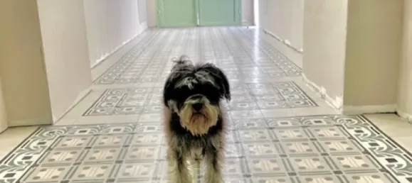 3غرفة شقة في Meidling, Austria رقم 117163 7