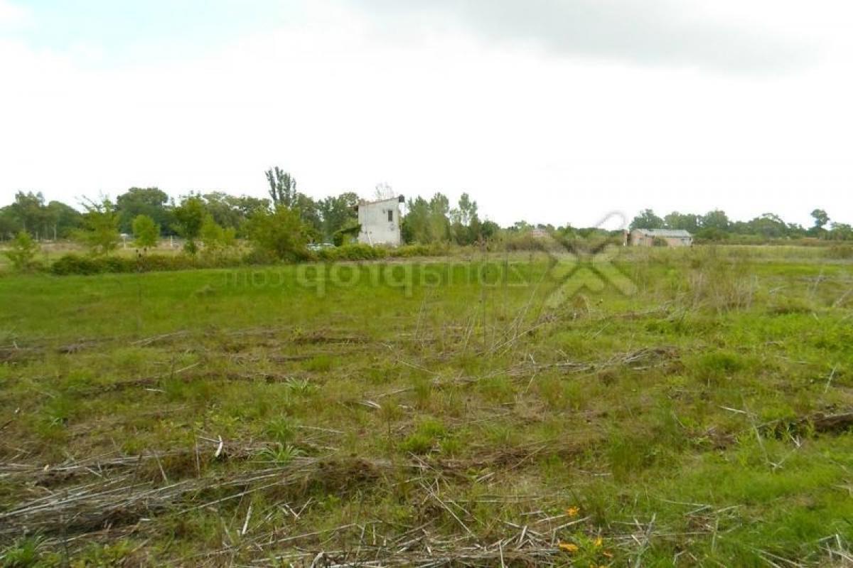  Land in Campo Creado, Argentina No. 117007