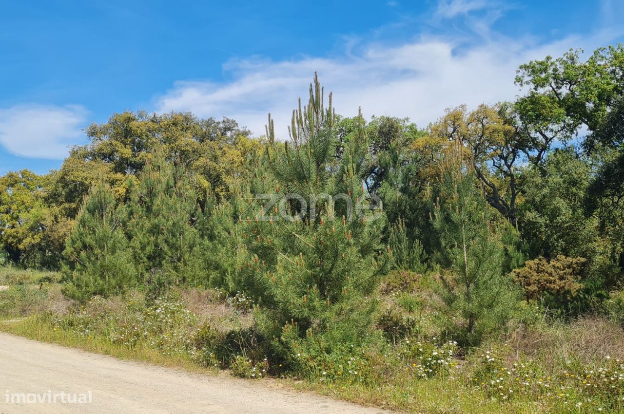 307m² Land in Palmela, Portugal No. 92155