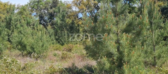 307m² Land in Palmela, Portugal No. 92155 6