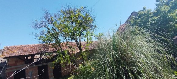 3 Schlafzimmer Haus in Fermentelos, Portugal, Nr. 63594 5