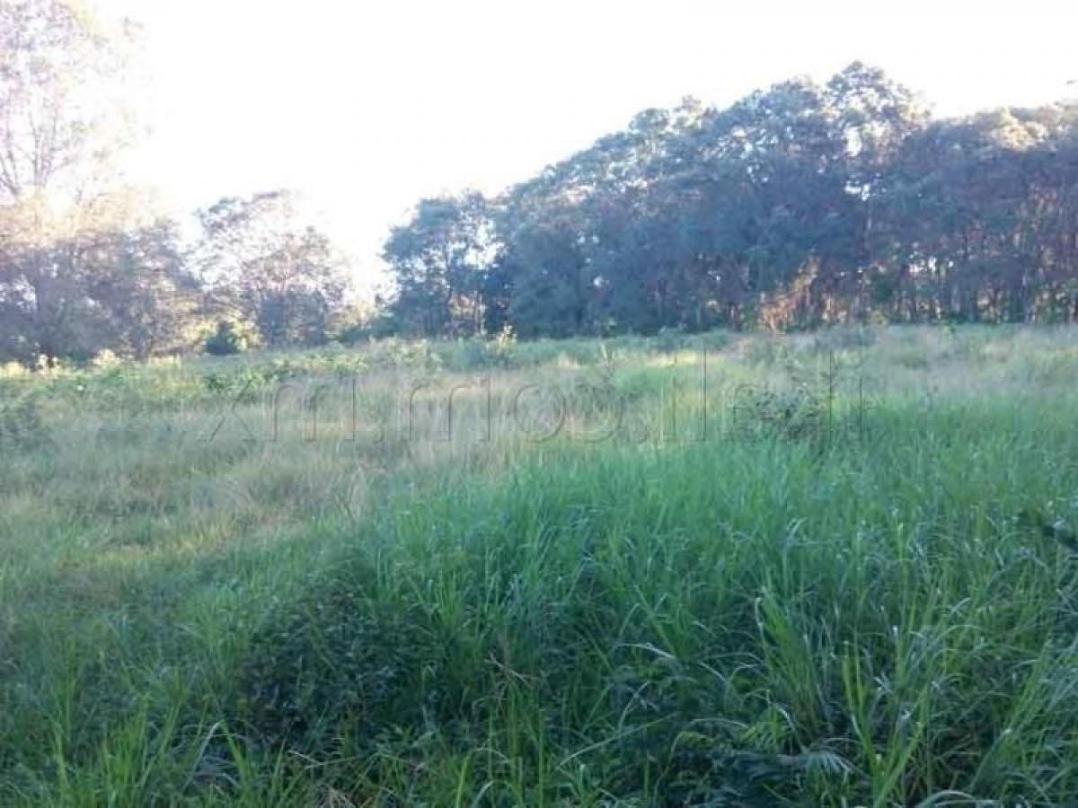  Land in Veracruz, Mexico No. 204471