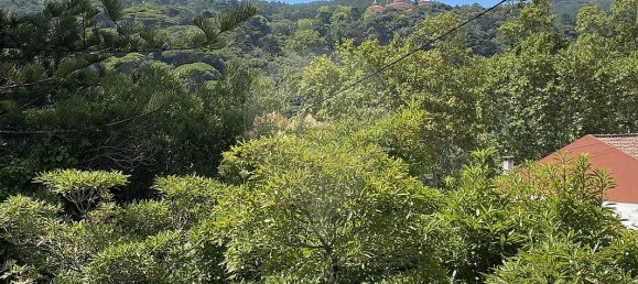 9 غرف نوم منزل في Sintra, Portugal رقم 48949 37