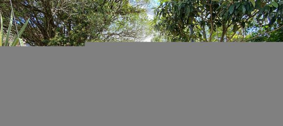 9 غرف نوم منزل في Sintra, Portugal رقم 48949 3