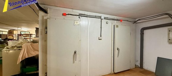 8 Schlafzimmer Haus in Trescasas, Spain, Nr. 66810 47