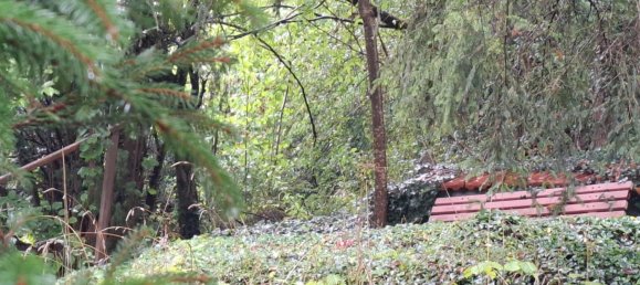 3 Schlafzimmer Bauernhof in Sigmaringen, Germany, Nr. 326345 7