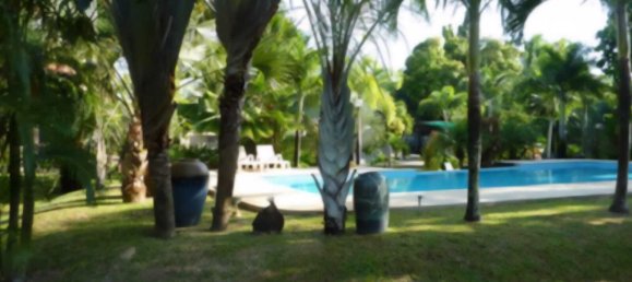 6 chambres Villa à Phuket, Thailand No. 65174 16