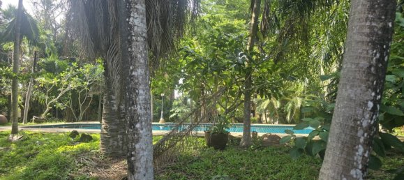 6 chambres Villa à Phuket, Thailand No. 65174 4