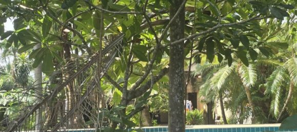 6 chambres Villa à Phuket, Thailand No. 65174 6