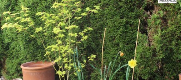 3 rooms Apartment in Mondsee, Austria No. 205081 12