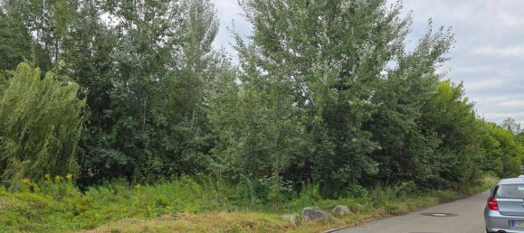  Land in Breisgau-Hochschwarzwald, Germany No. 318906 4